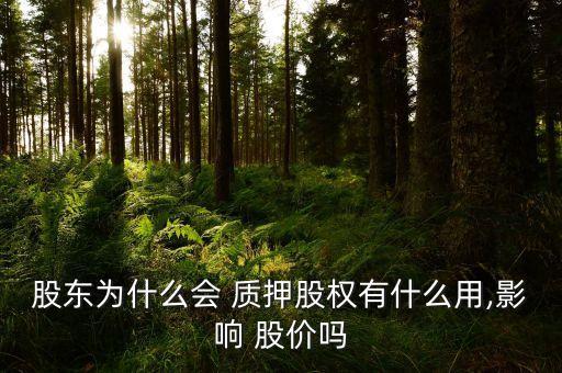 股東為什么會 質(zhì)押股權(quán)有什么用,影響 股價(jià)嗎