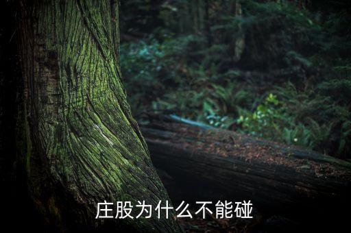 爆炒過(guò)的股票不能碰