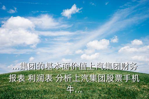 ...集團(tuán)的基本面價值上汽集團(tuán)財務(wù)報表 利潤表 分析上汽集團(tuán)股票手機(jī)牛...