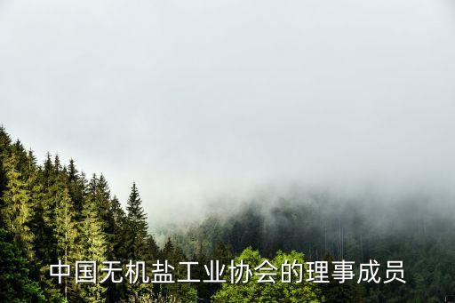 中國無機(jī)鹽工業(yè)協(xié)會的理事成員