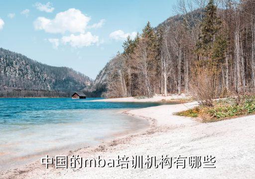 中國的mba培訓(xùn)機(jī)構(gòu)有哪些