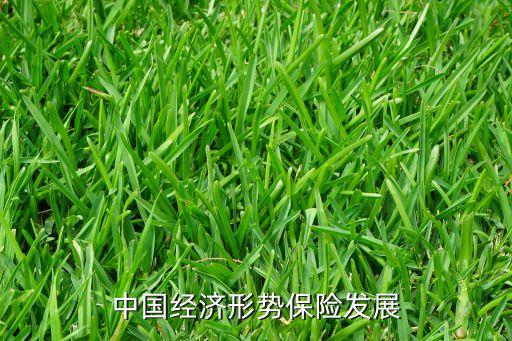 中國經(jīng)濟(jì)形勢保險(xiǎn)發(fā)展