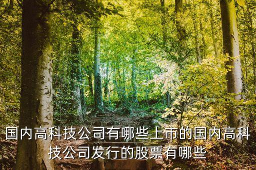 國內高科技公司有哪些上市的國內高科技公司發(fā)行的股票有哪些