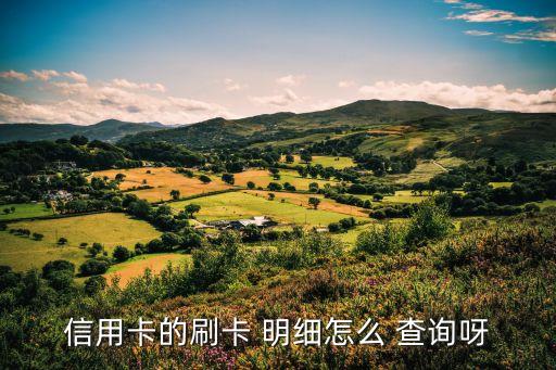 信用卡的刷卡 明細(xì)怎么 查詢呀
