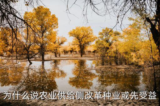 為什么說農業(yè)供給側改革種業(yè)或先受益