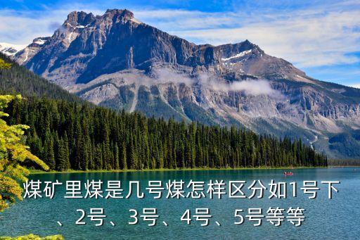  煤礦里煤是幾號煤怎樣區(qū)分如1號下、2號、3號、4號、5號等等