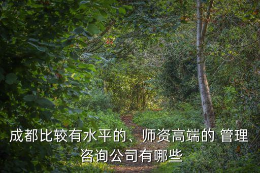 成都比較有水平的、師資高端的 管理 咨詢公司有哪些
