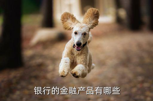 銀行產(chǎn)品大類,銀行權益類產(chǎn)品有哪些