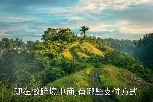 國外銀行系電商,銀行電商平臺(tái)的開展及優(yōu)勢(shì)