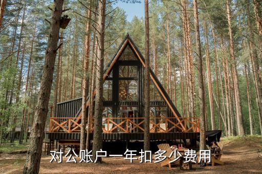對(duì)公賬戶一年扣多少費(fèi)用