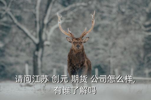 請(qǐng)問江蘇 創(chuàng)元 期貨 公司怎么樣,有誰了解嗎