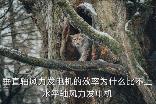 垂直軸風(fēng)力發(fā)電機的效率為什么比不上水平軸風(fēng)力發(fā)電機