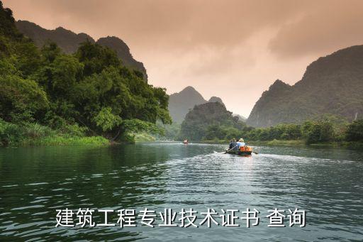 建筑工程專業(yè)技術(shù)證書(shū) 查詢