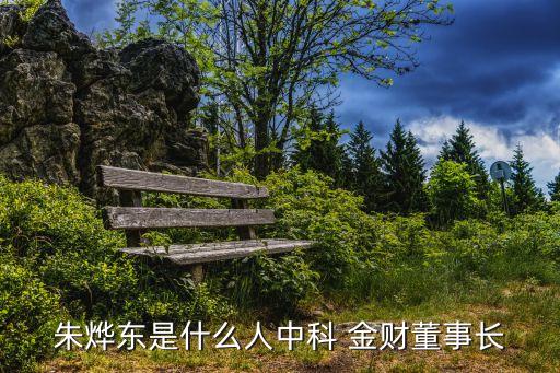 朱燁東是什么人中科 金財(cái)董事長