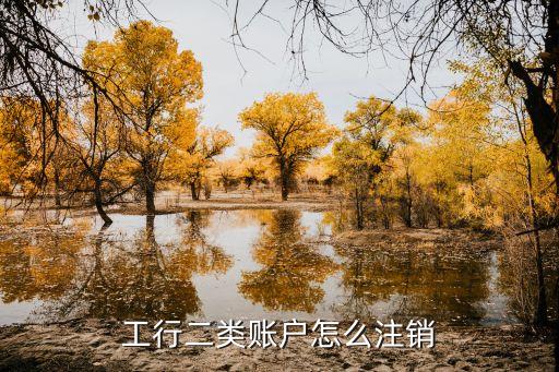 工商銀行儲(chǔ)蓄卡銷(xiāo)戶(hù)