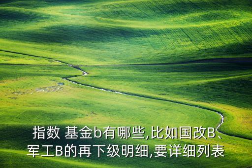  指數(shù) 基金b有哪些,比如國改B、軍工B的再下級明細,要詳細列表