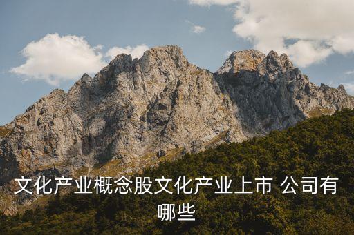 文化產業(yè)概念股文化產業(yè)上市 公司有哪些