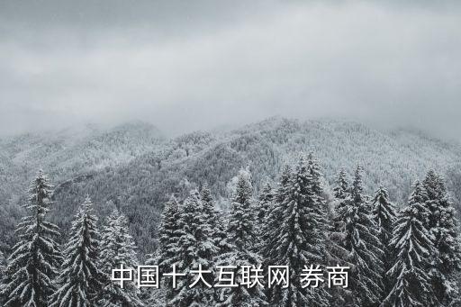 中國(guó)十大互聯(lián)網(wǎng) 券商
