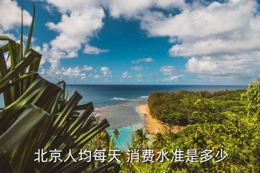  北京人均每天 消費水準是多少