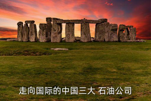 走向國(guó)際的中國(guó)三大 石油公司