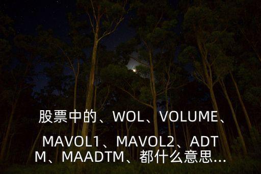  股票中的、WOL、VOLUME、MAVOL1、MAVOL2、ADTM、MAADTM、都什么意思...