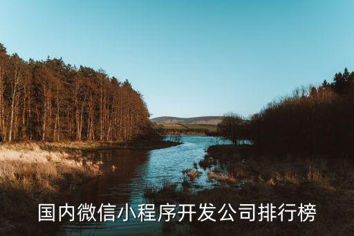 國(guó)內(nèi)微信小程序開發(fā)公司排行榜