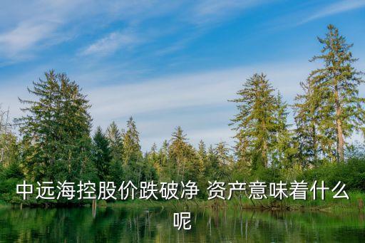 中遠海控股價跌破凈 資產(chǎn)意味著什么呢