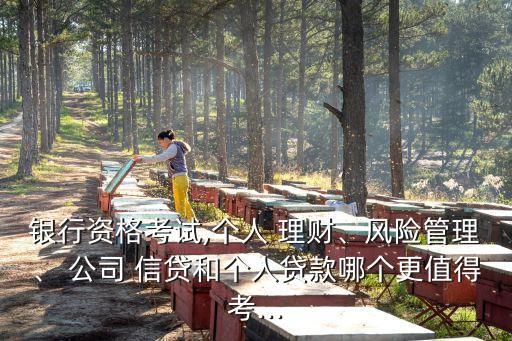 銀行資格考試,個(gè)人 理財(cái)、風(fēng)險(xiǎn)管理、 公司 信貸和個(gè)人貸款哪個(gè)更值得考...