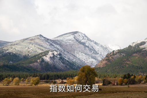  指數如何交易