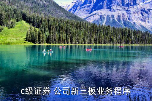 c級證券 公司新三板業(yè)務程序