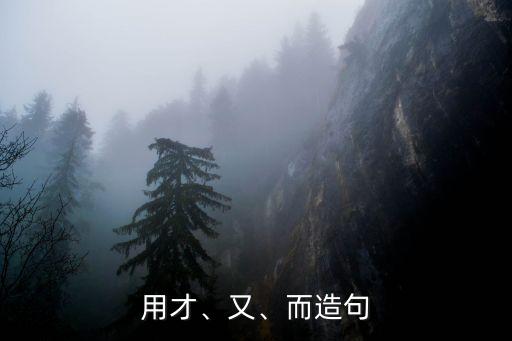 用才、又、而造句