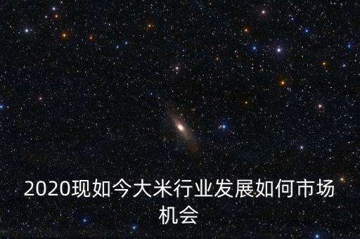 2020現如今大米行業(yè)發(fā)展如何市場機會