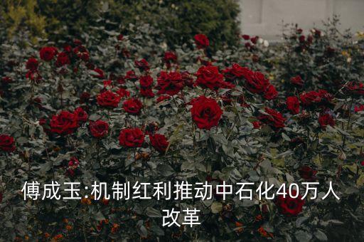 傅成玉:機制紅利推動中石化40萬人改革