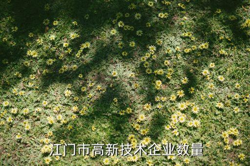  江門市高新技術企業(yè)數量