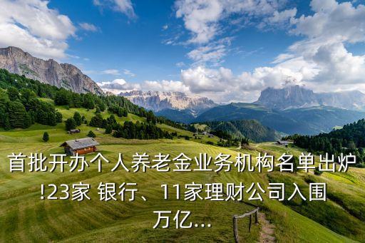 首批開辦個人養(yǎng)老金業(yè)務機構名單出爐!23家 銀行、11家理財公司入圍萬億...