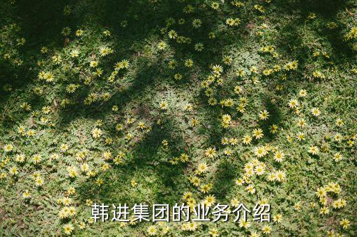  韓進集團的業(yè)務介紹