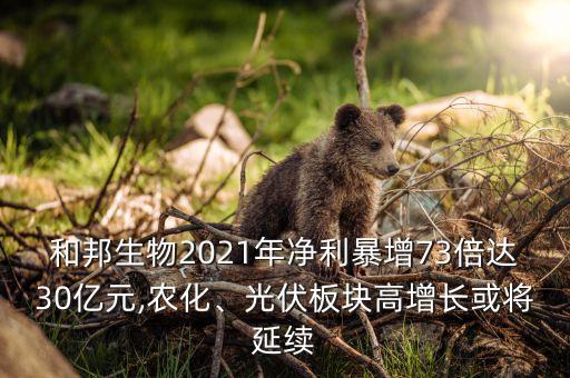 和邦生物2021年凈利暴增73倍達(dá)30億元,農(nóng)化、光伏板塊高增長或?qū)⒀永m(xù)