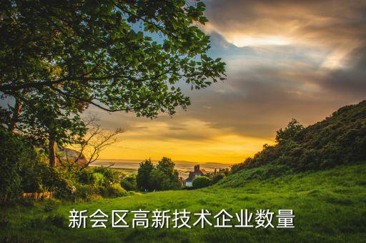 新會區(qū)高新技術企業(yè)數量