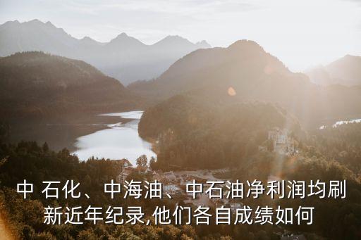中 石化、中海油、中石油凈利潤均刷新近年紀(jì)錄,他們各自成績?nèi)绾? class=