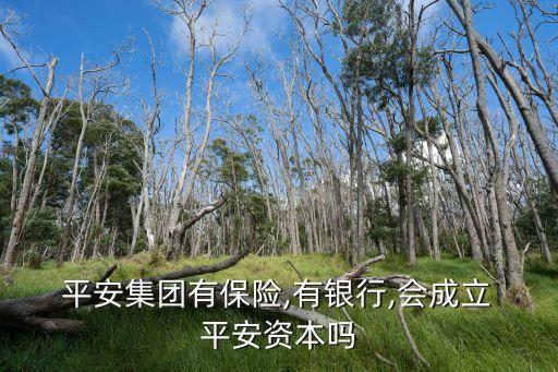  平安集團(tuán)有保險,有銀行,會成立 平安資本嗎