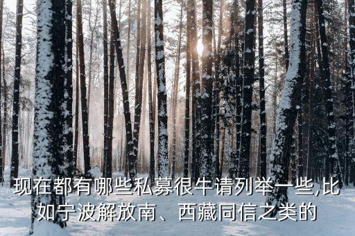 現(xiàn)在都有哪些私募很牛請(qǐng)列舉一些,比如寧波解放南、西藏同信之類(lèi)的