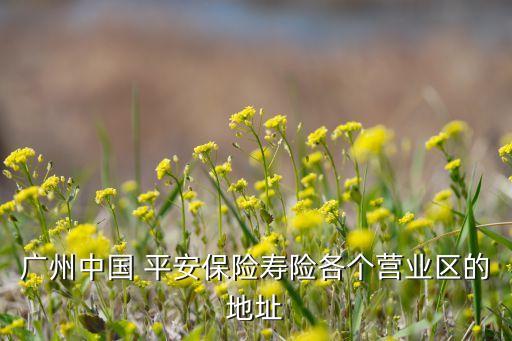 廣州中國 平安保險(xiǎn)壽險(xiǎn)各個(gè)營業(yè)區(qū)的地址