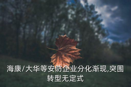 ?？?大華等安防企業(yè)分化漸現(xiàn),突圍轉(zhuǎn)型無定式