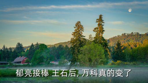 萬(wàn)科集團(tuán)董事長(zhǎng)王石,深圳萬(wàn)科集團(tuán)董事長(zhǎng)