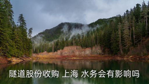 上海水務資產經營發(fā)展有限公司