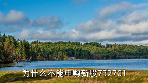 為什么不能申購(gòu)新股732701