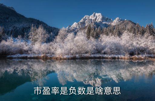 市盈率是負數是啥意思