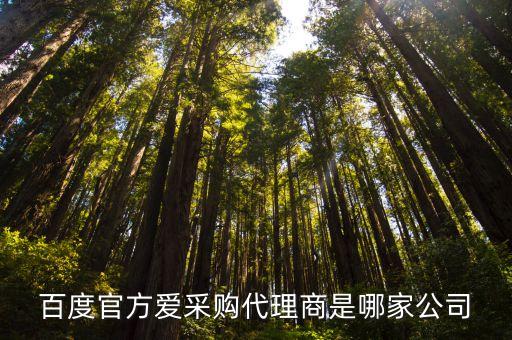 百度官方愛(ài)采購(gòu)代理商是哪家公司