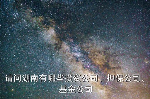 請(qǐng)問(wèn)湖南有哪些投資公司、擔(dān)保公司、 基金公司