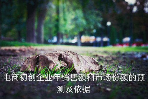 電商初創(chuàng)企業(yè)年銷售額和市場份額的預測及依據